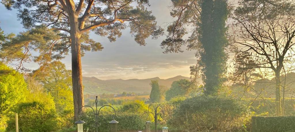 Mountain Suite, Stunning Views, Brecon Beacons Llanhamlach Exteriér fotografie